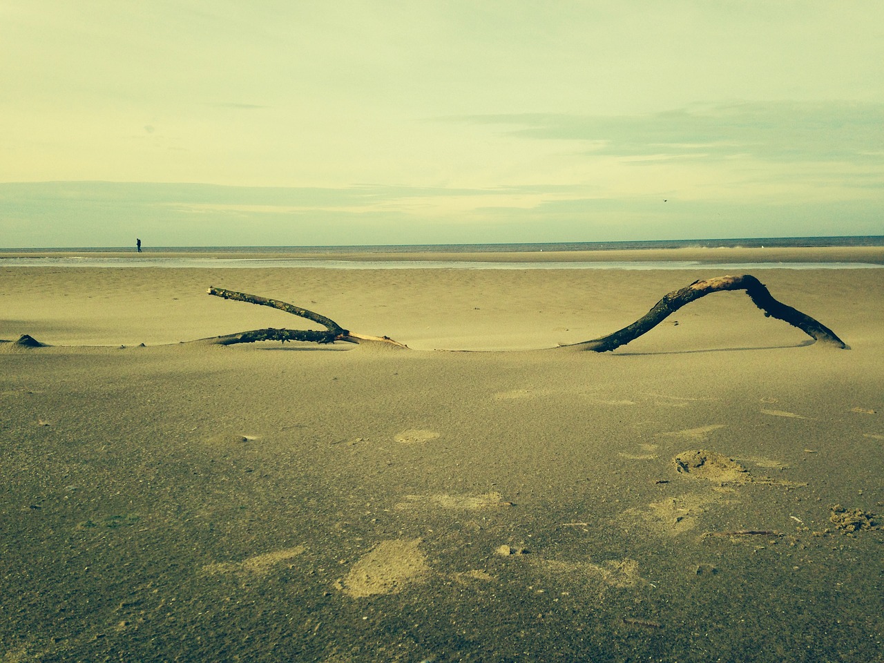 beach sea coast free photo