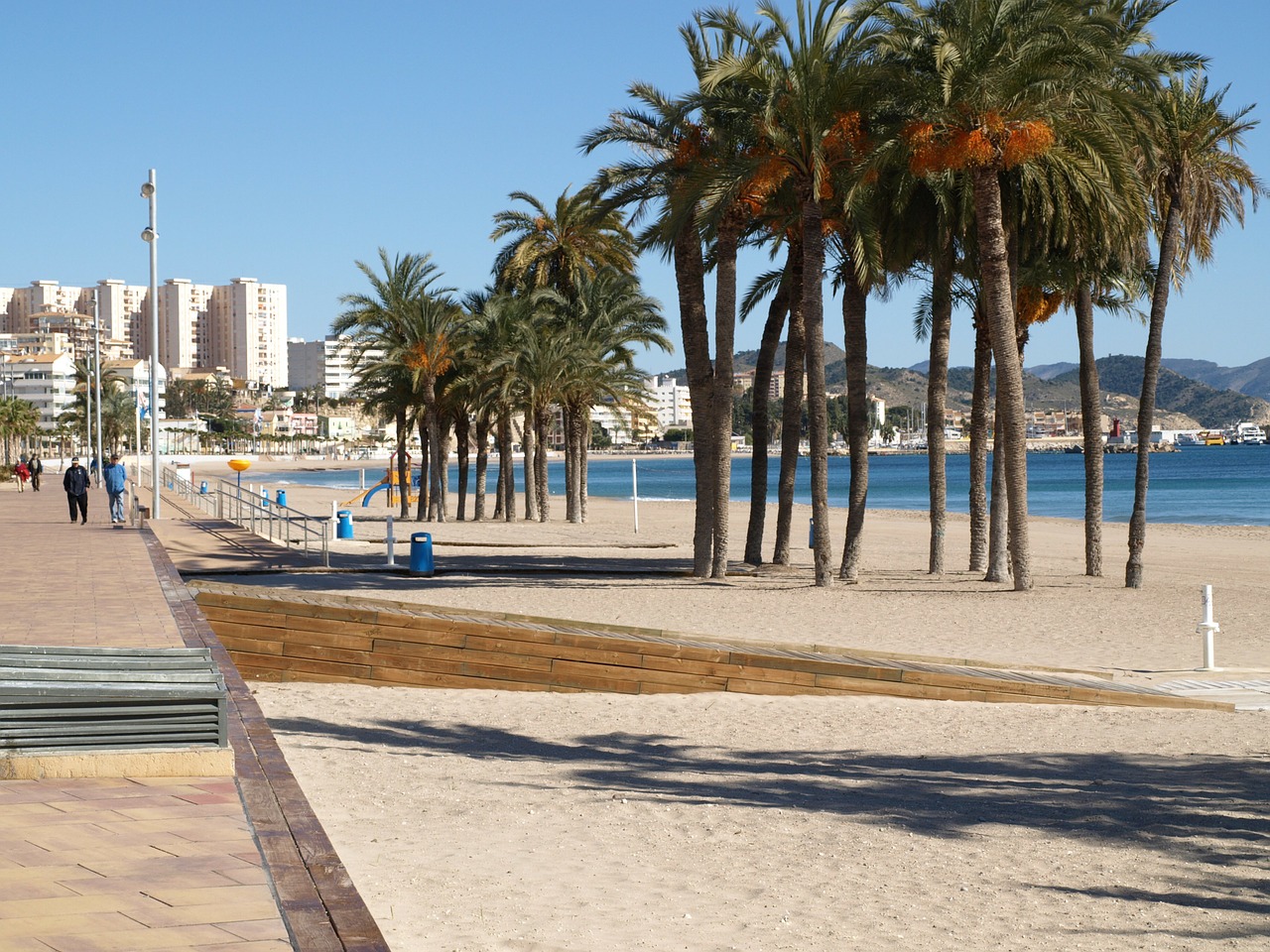 beach palm trees sea free photo