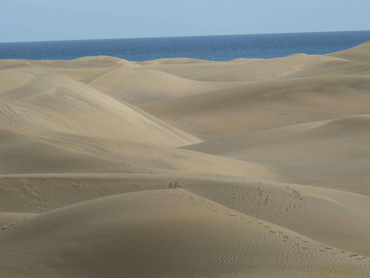 beach dunes dune free photo