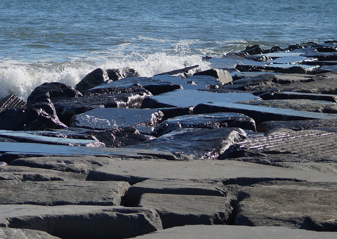 beach shore rocks free photo