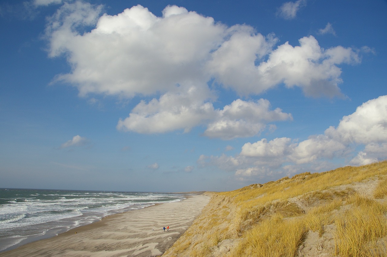 beach dunes denmark free photo