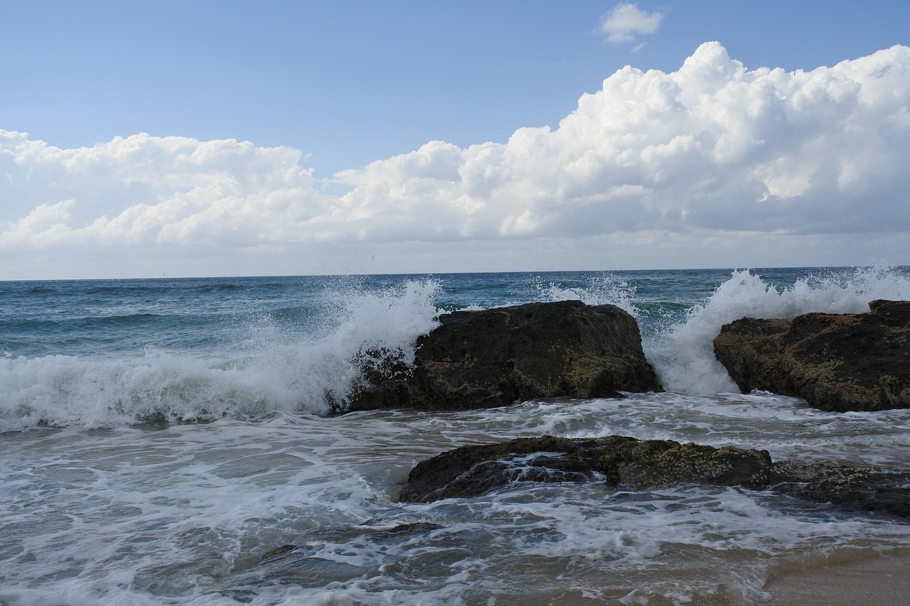 beach ocean waves free photo