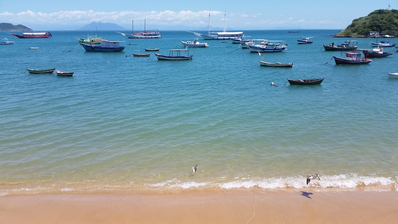 beach boats cove free photo