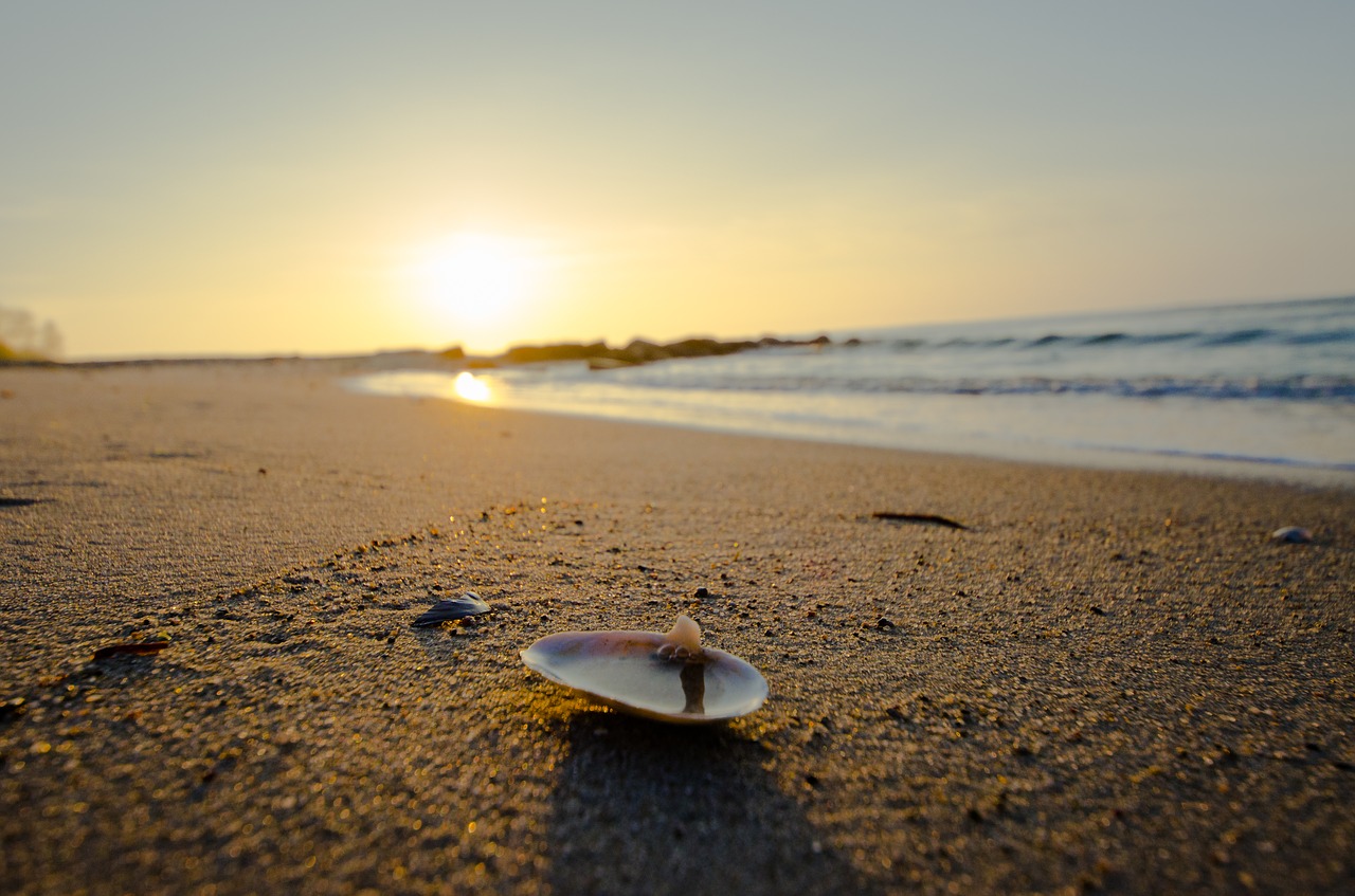 beach sun sand free photo