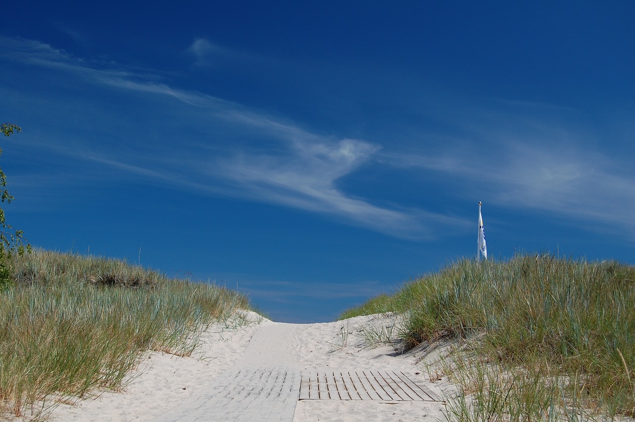 beach sand oland free photo