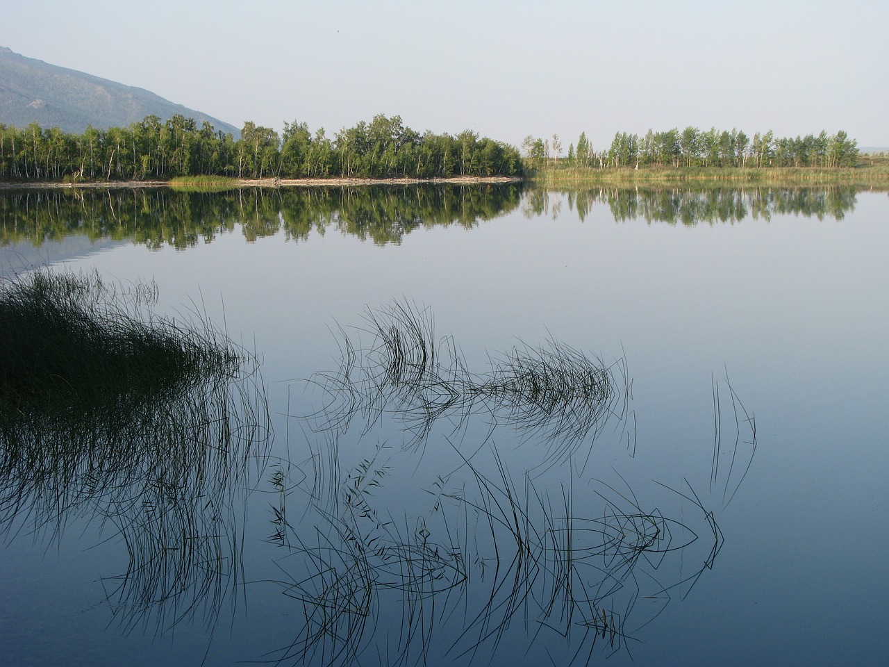 beach lake grass free photo