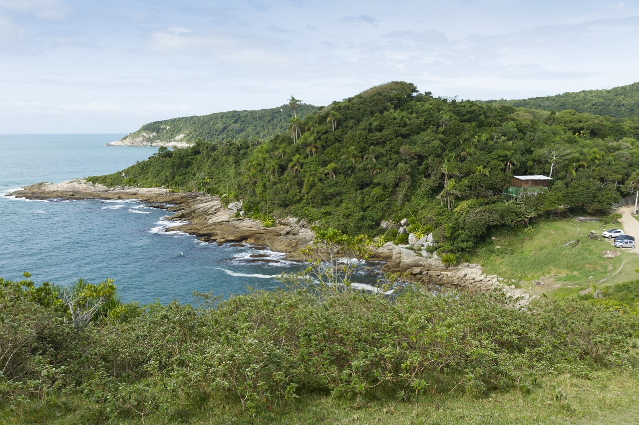 beach landscape nature free photo