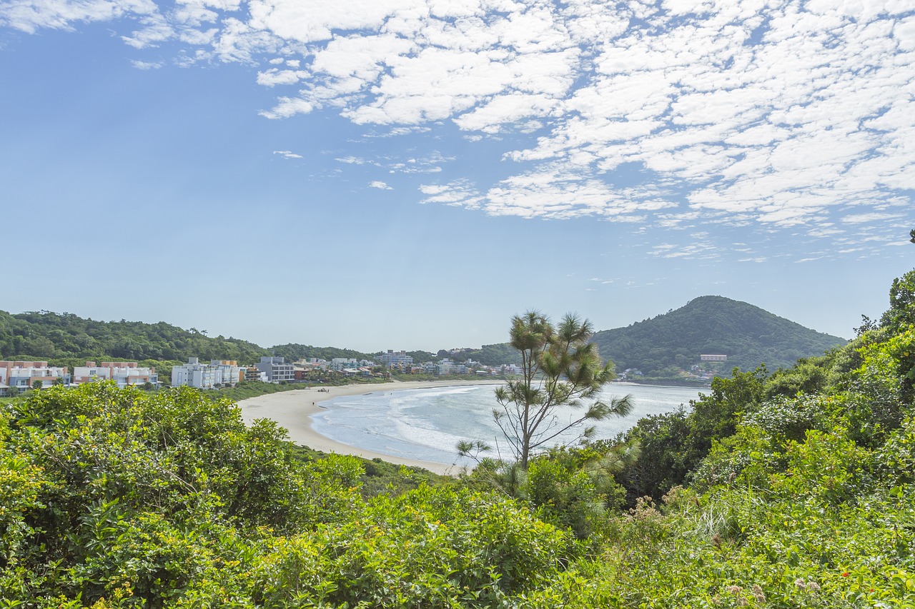 beach landscape nature free photo