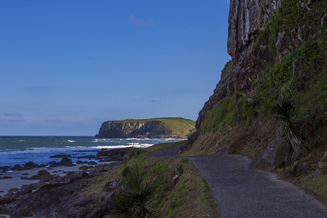 beach path passage free photo