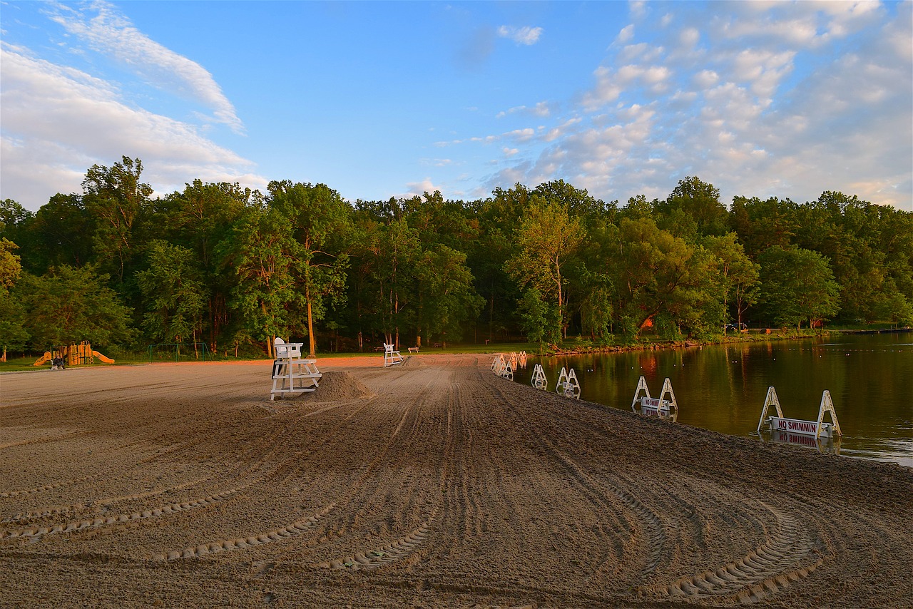 beach lake trees free photo