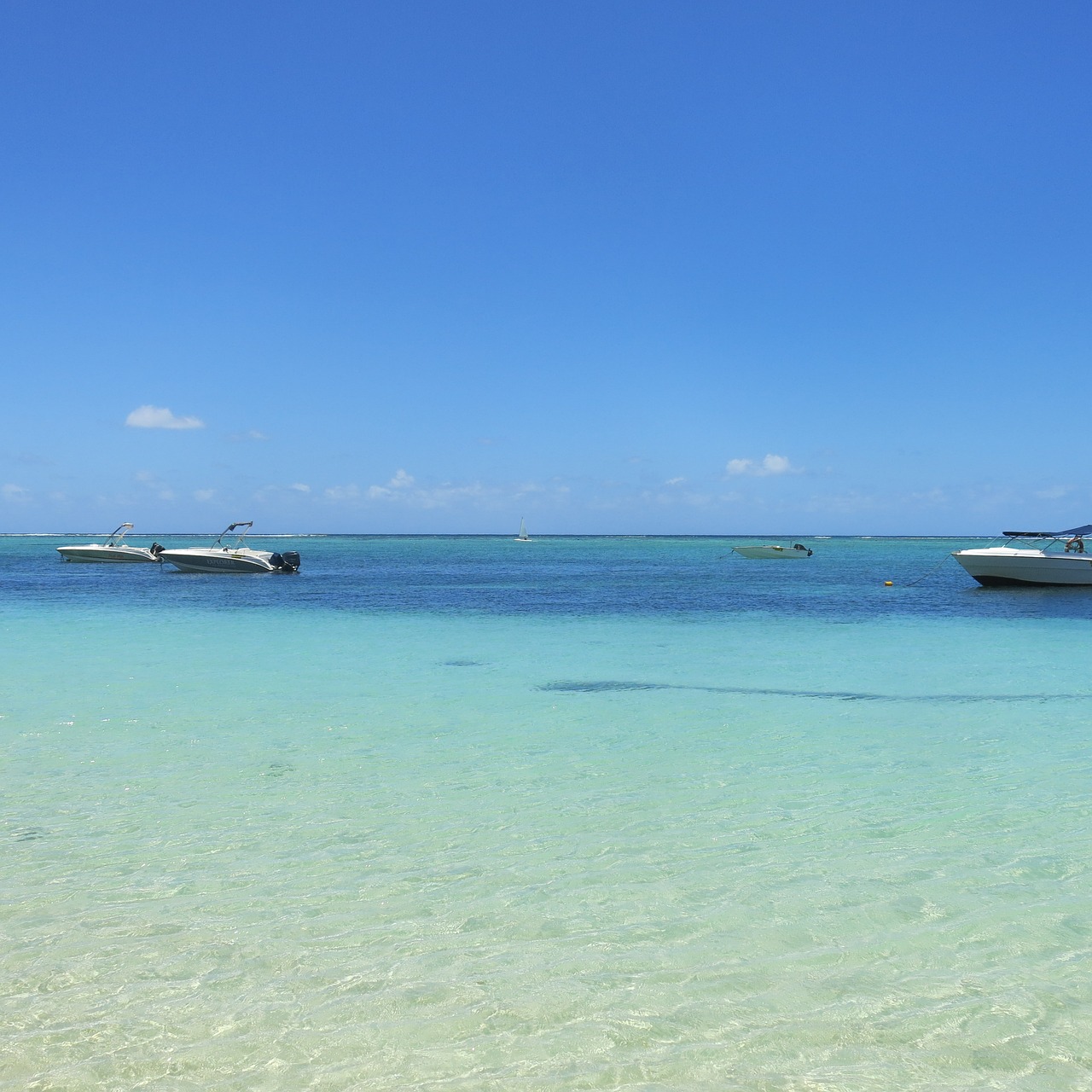 beach sea ocean free photo