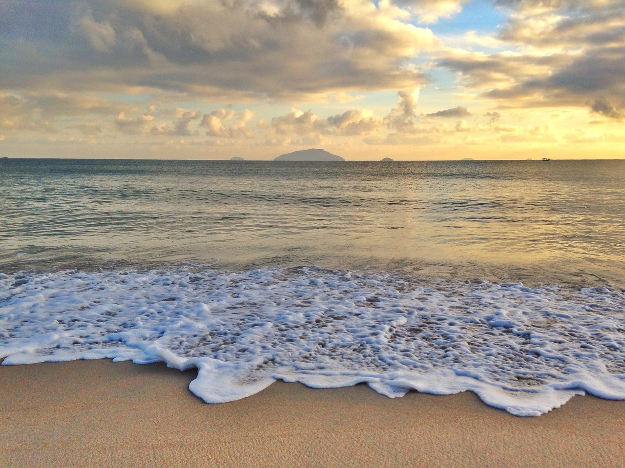 beach shore wave free photo