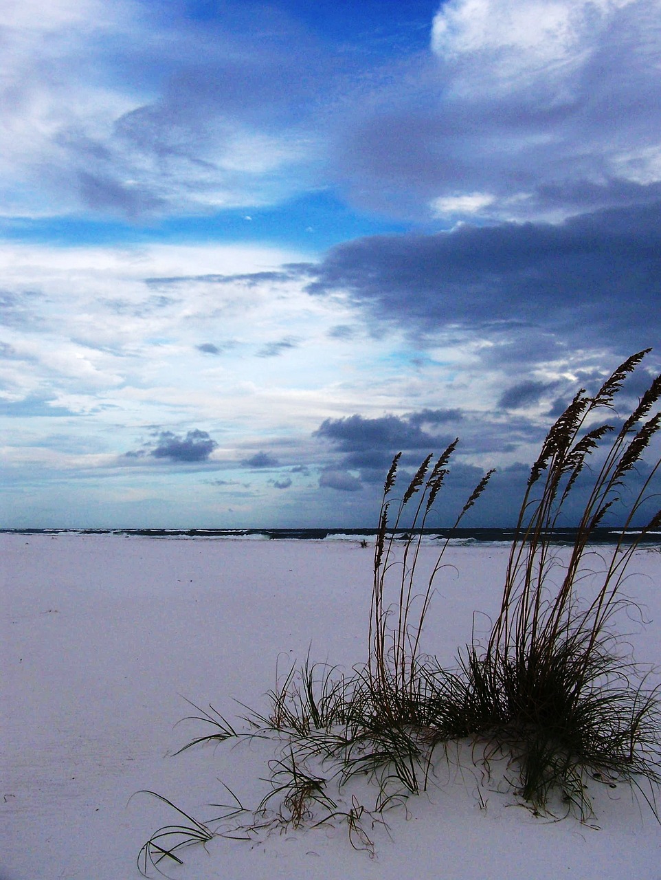 beach hurricane sand free photo