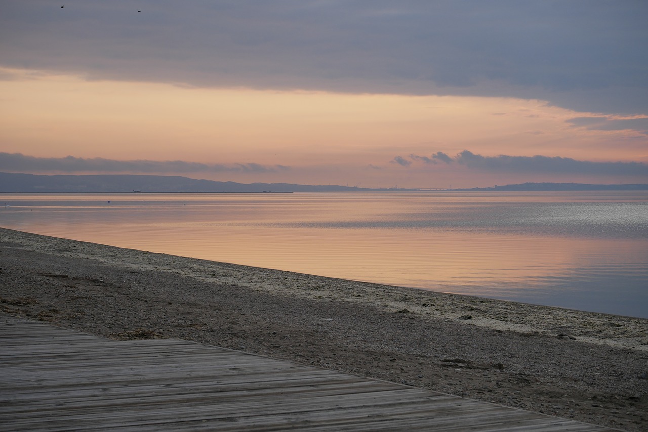 beach pond morning free photo