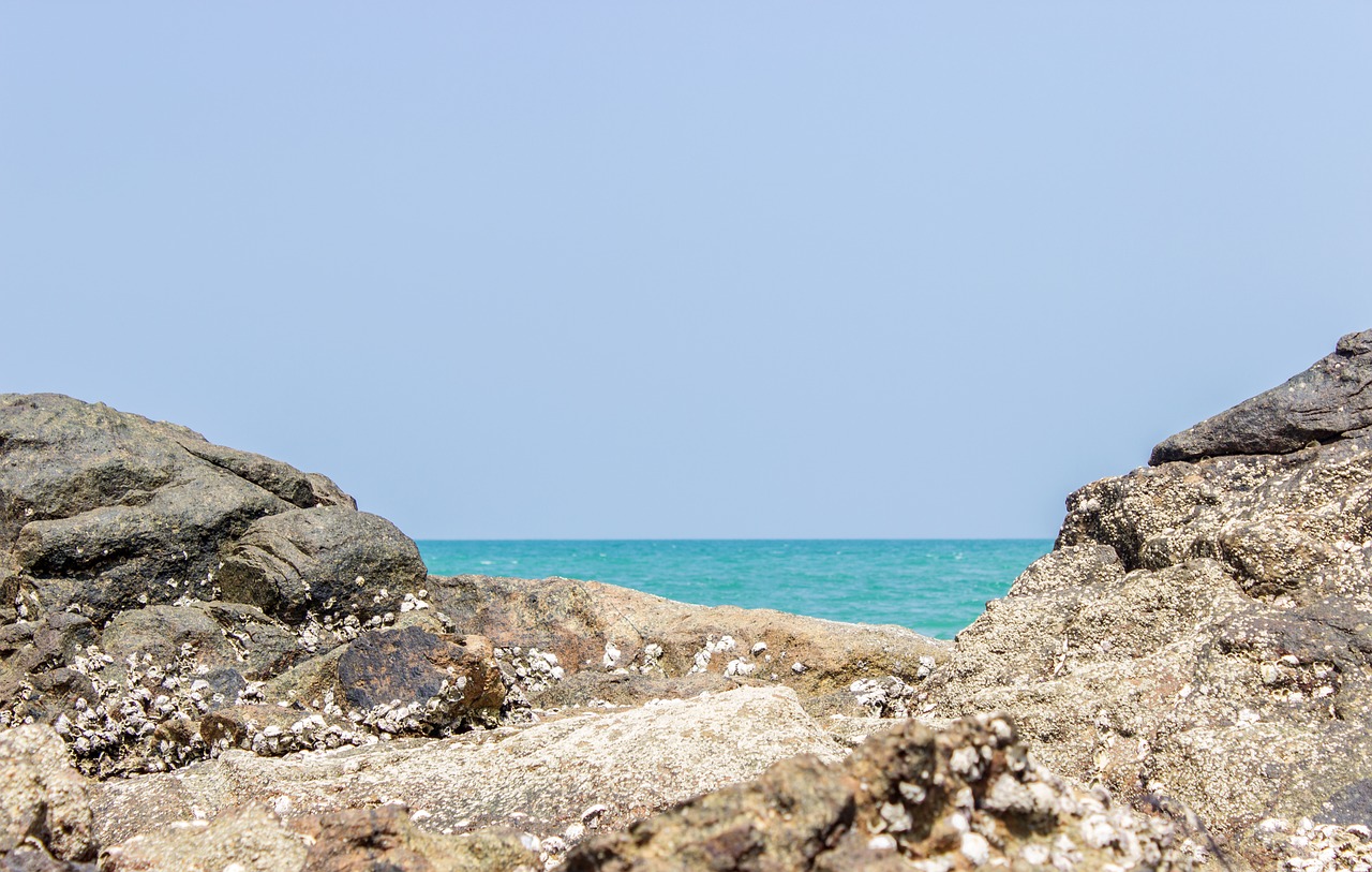 beach sea ocean free photo