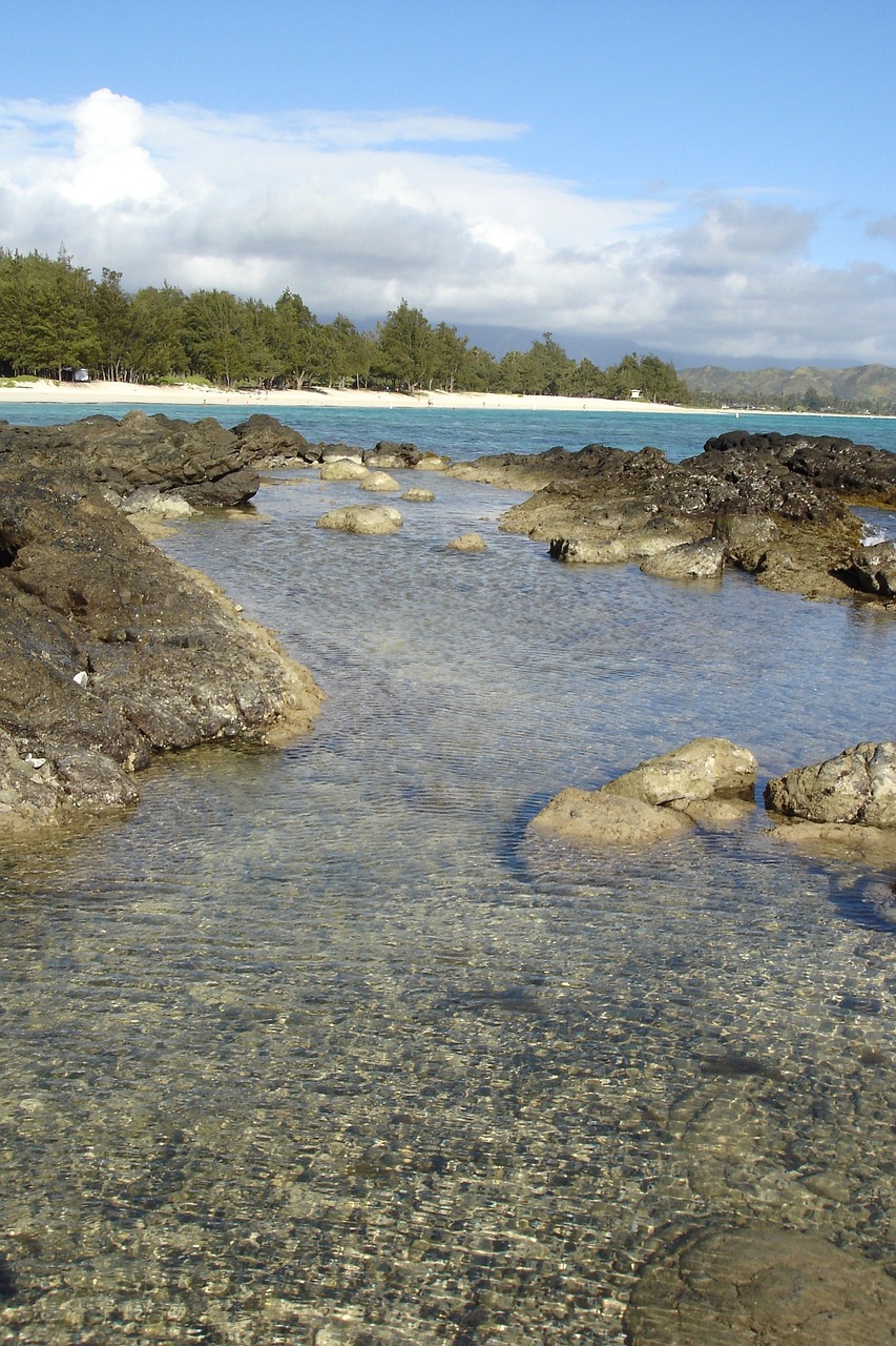 beach ocean sea free photo