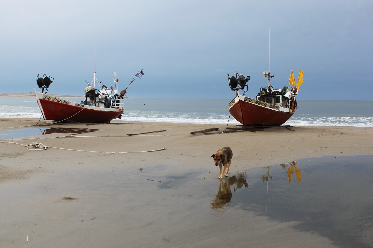 beach boats costa free photo