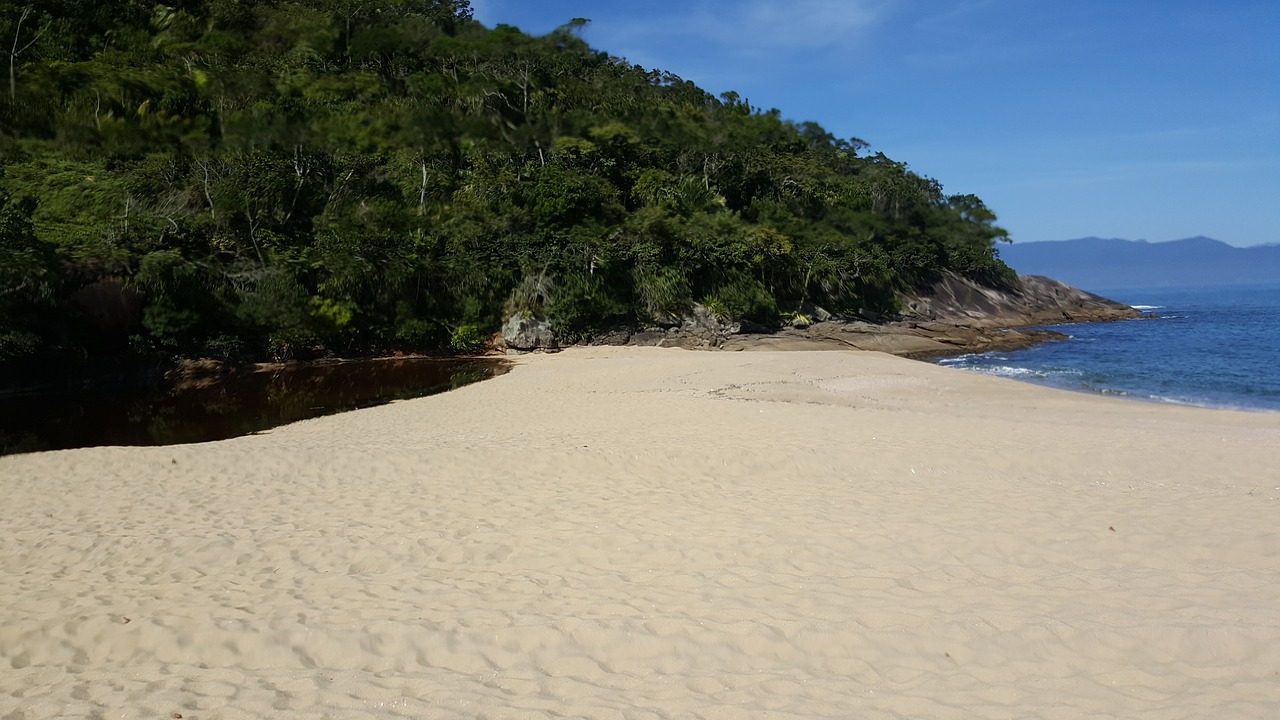 beach mar sand free photo