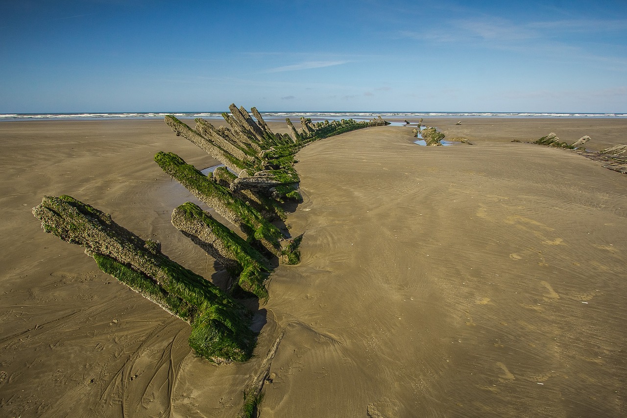 beach ocean wreck free photo