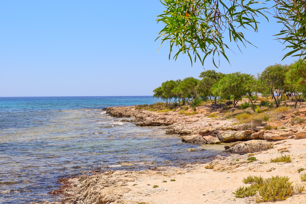 beach coast sea free photo