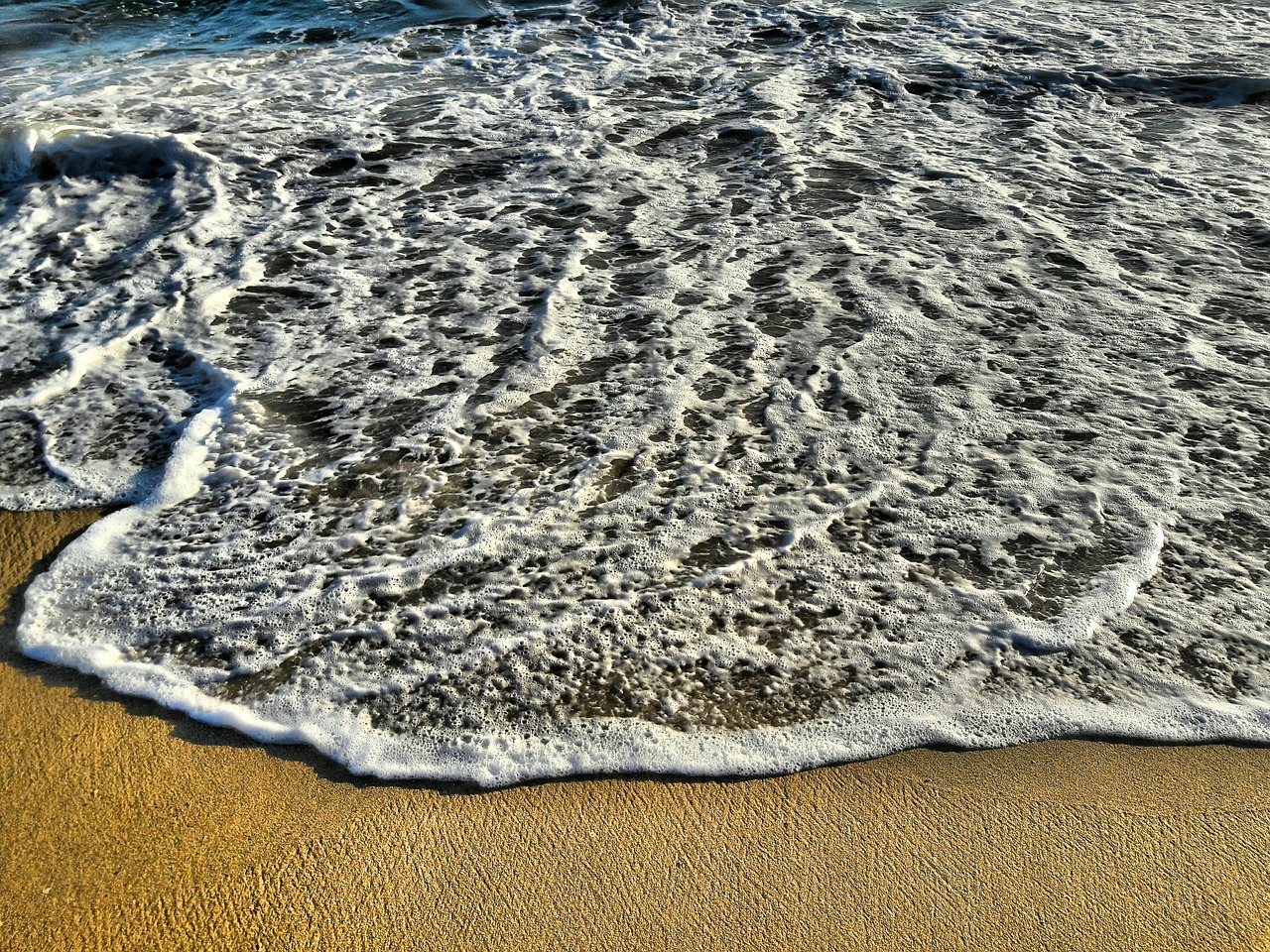 beach ocean sand free photo
