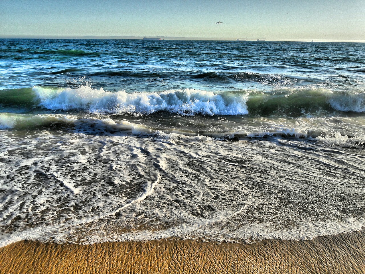 beach ocean sand free photo