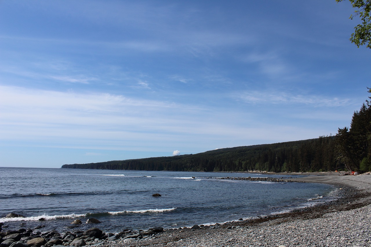 beach sunny summer free photo