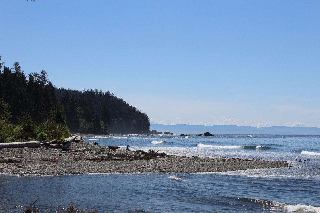 beach sunny summer free photo