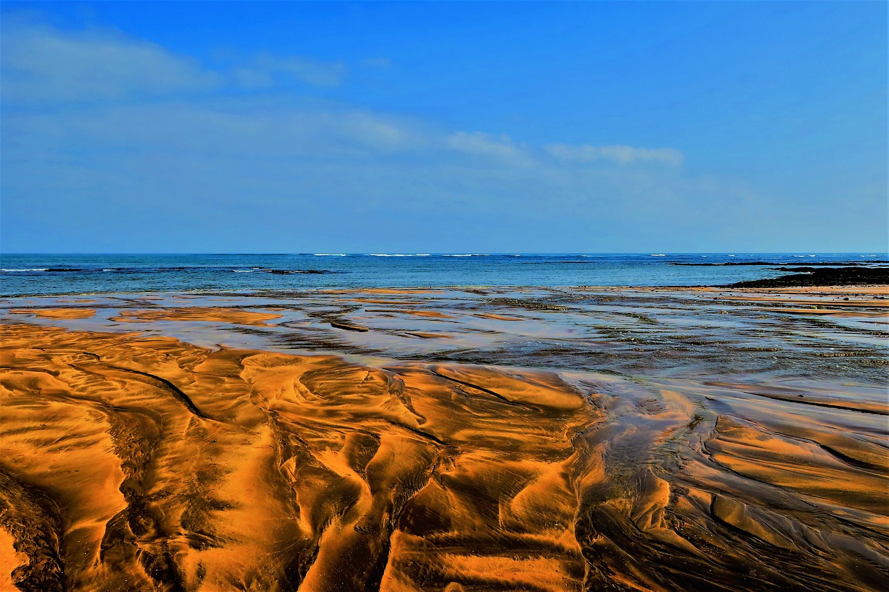 beach sand water free photo