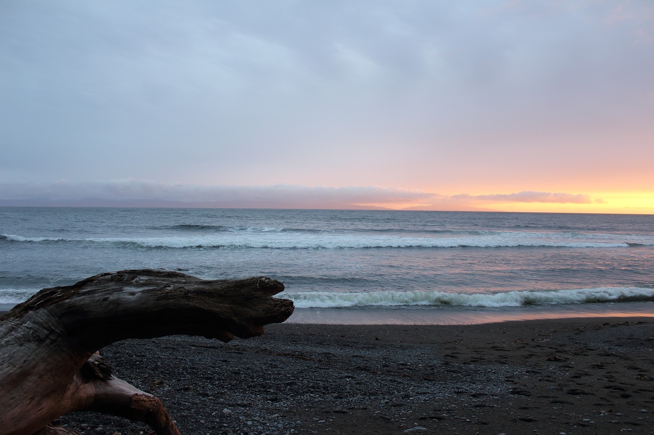 beach sunset ocean free photo