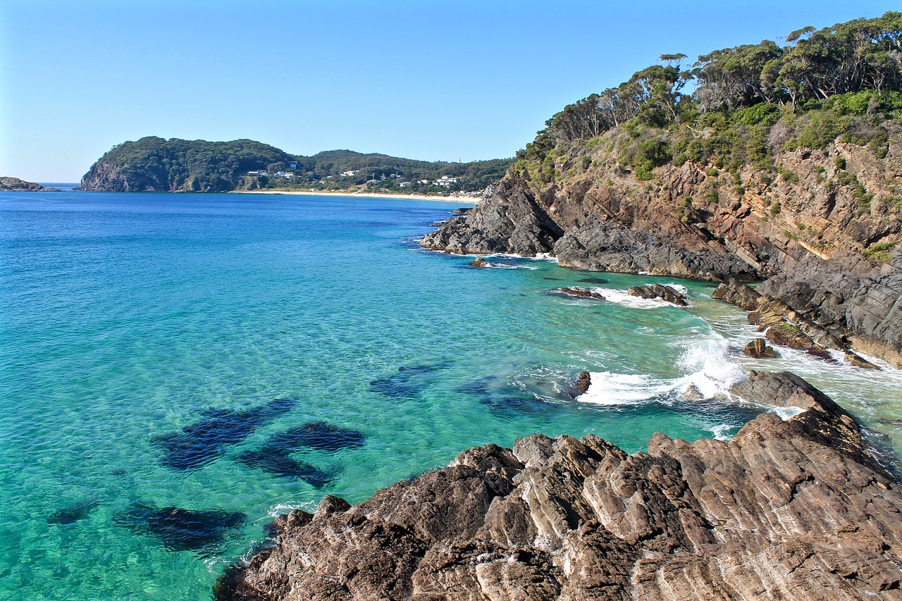 beach clear water water free photo