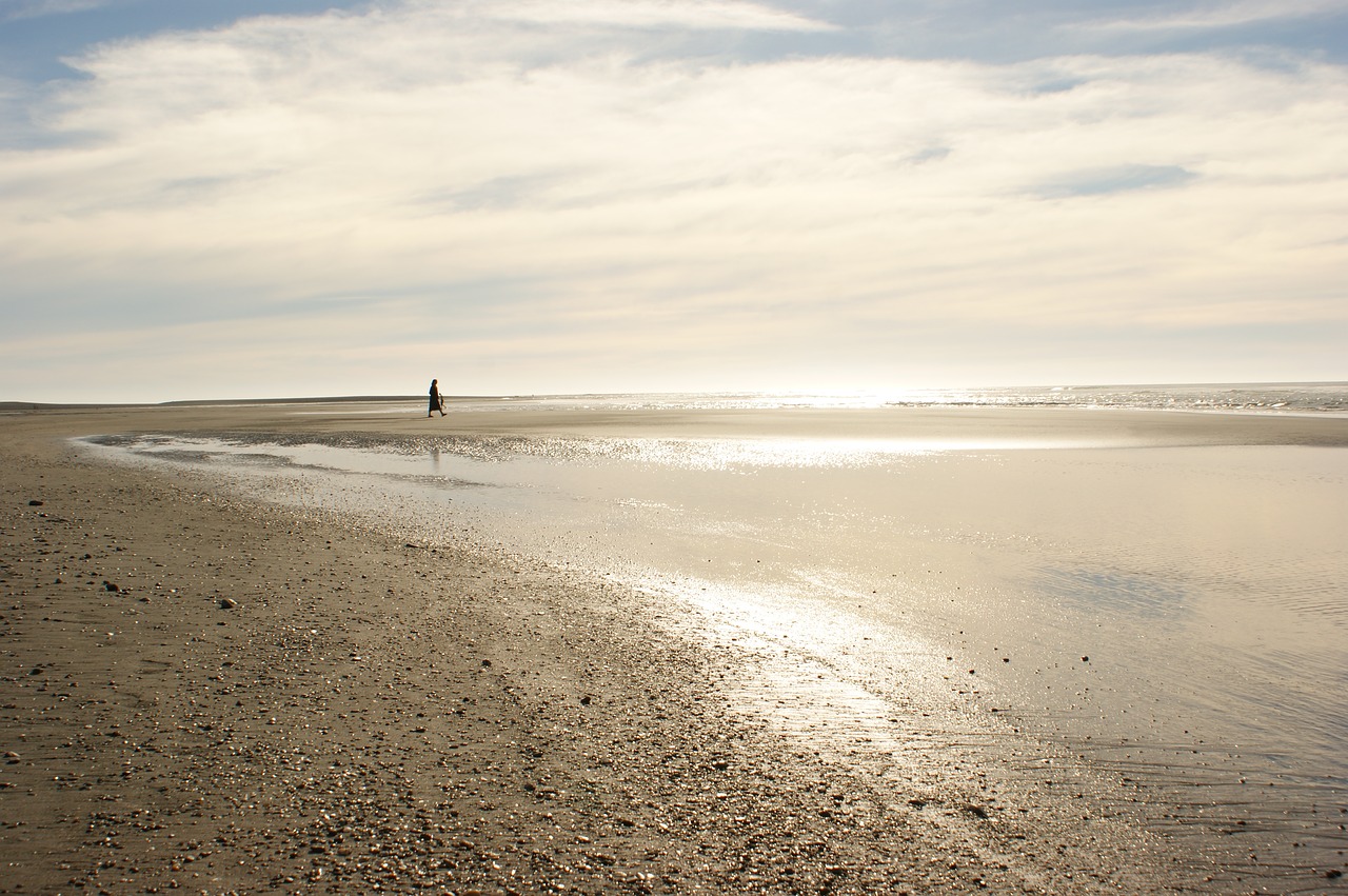 beach evening gold free photo