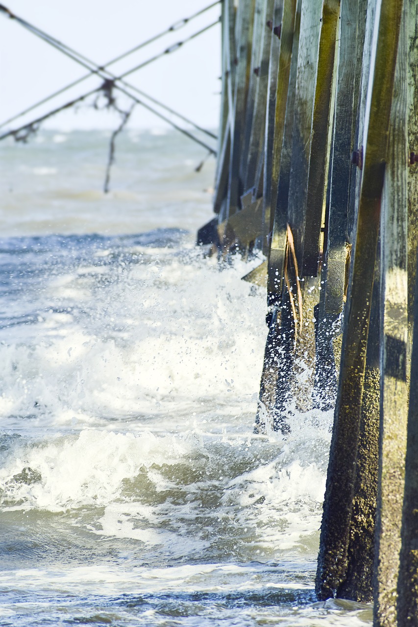 beach ocean sea free photo