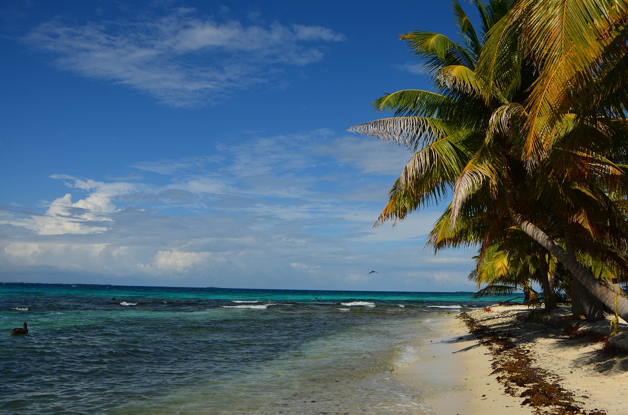 beach belize caribbean free photo