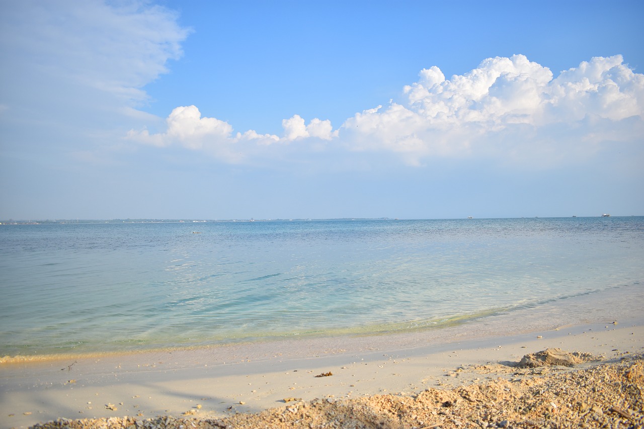 beach sea water free photo