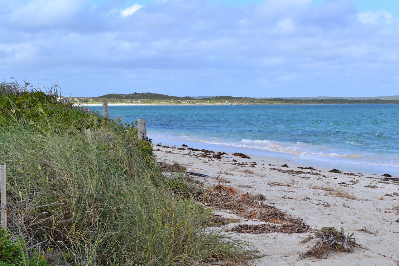 beach ocean grass free photo