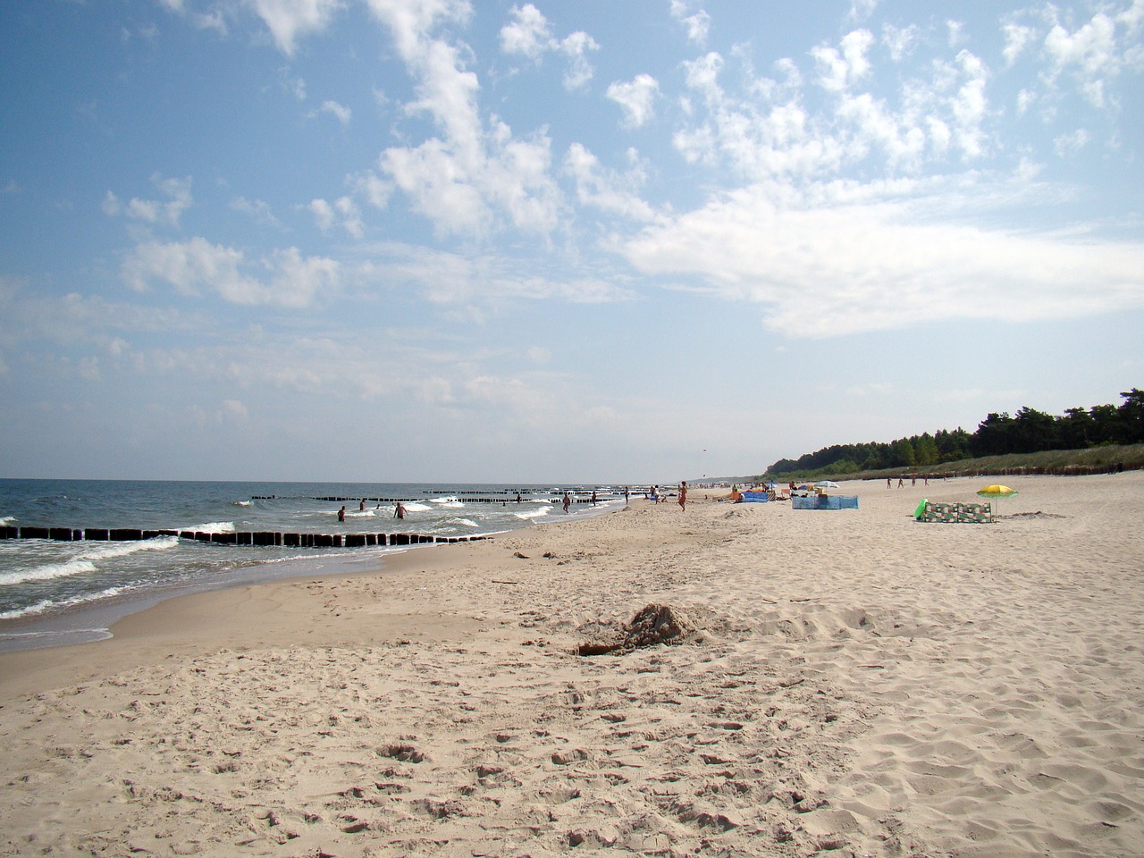 beach sand summer free photo