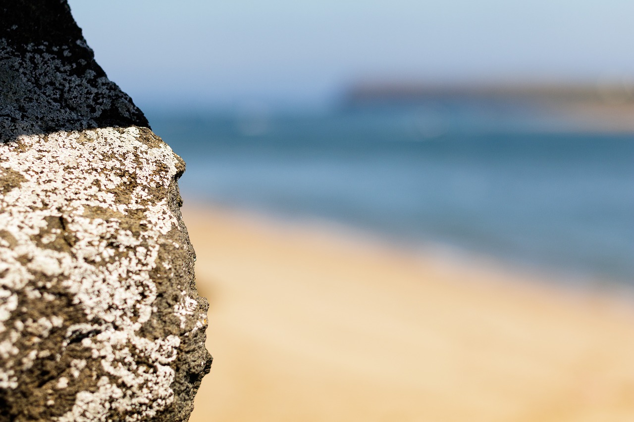 beach rock sand free photo