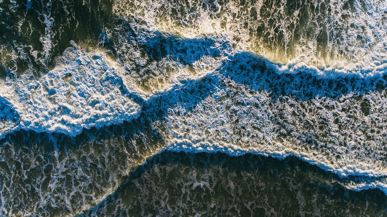 beach sea ocean free photo