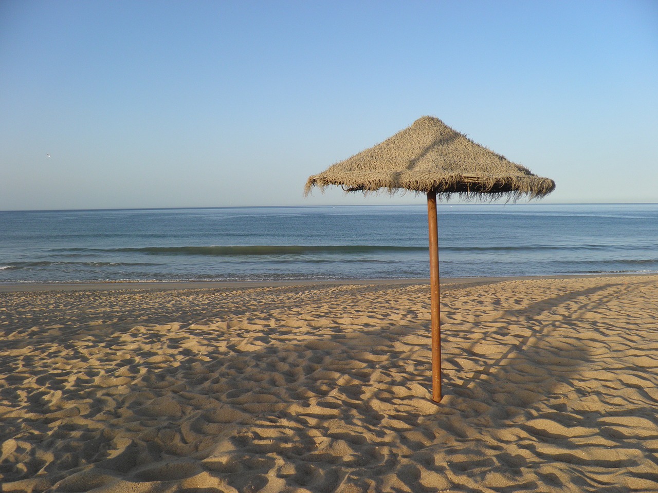 beach umbrella sea free photo