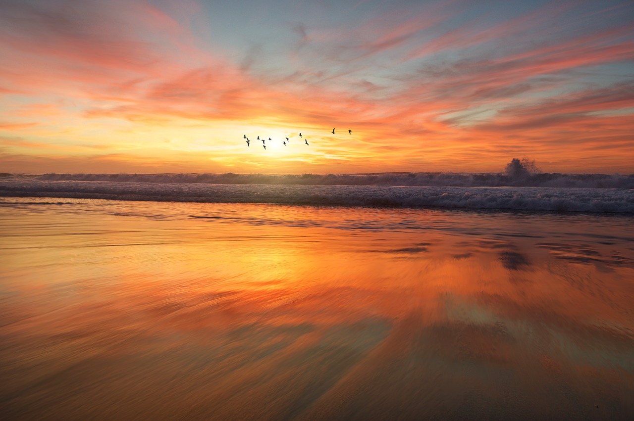 beach sand water free photo