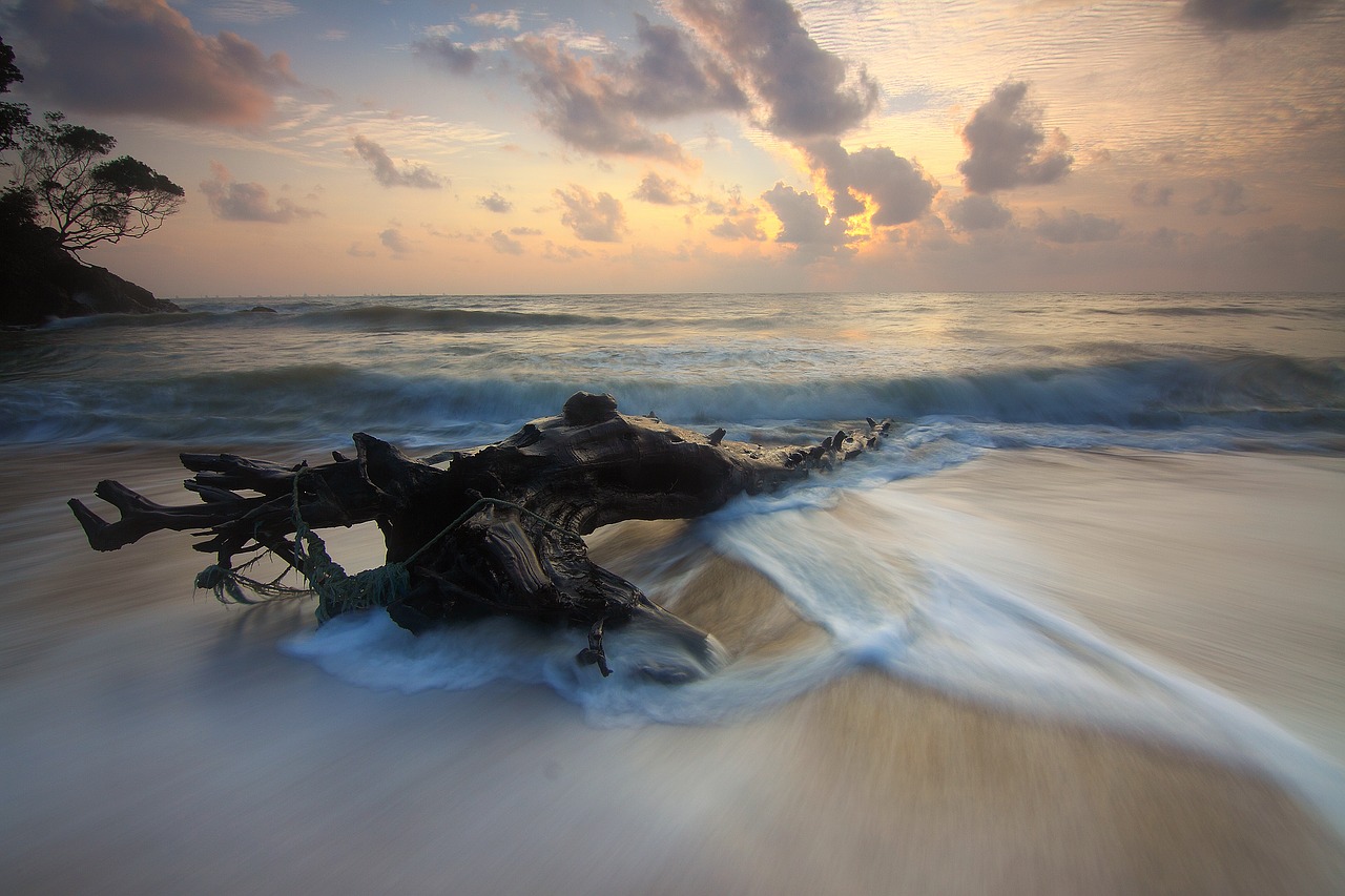 beach sand sea free photo