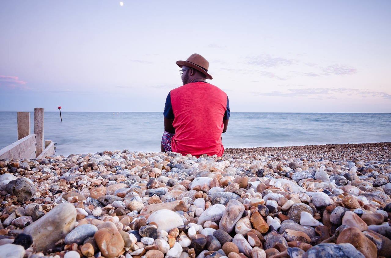 beach rocks ocean free photo