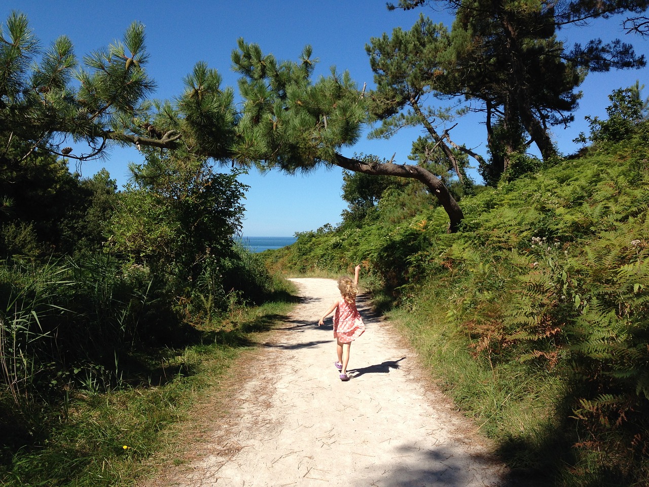 beach path holiday free photo