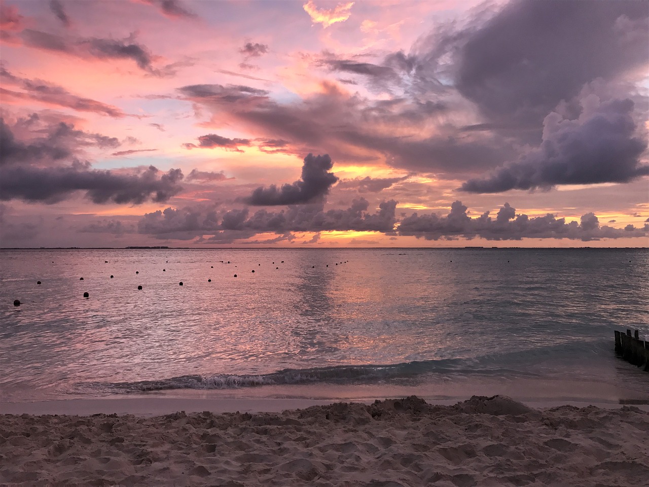 beach sunset mexico free photo