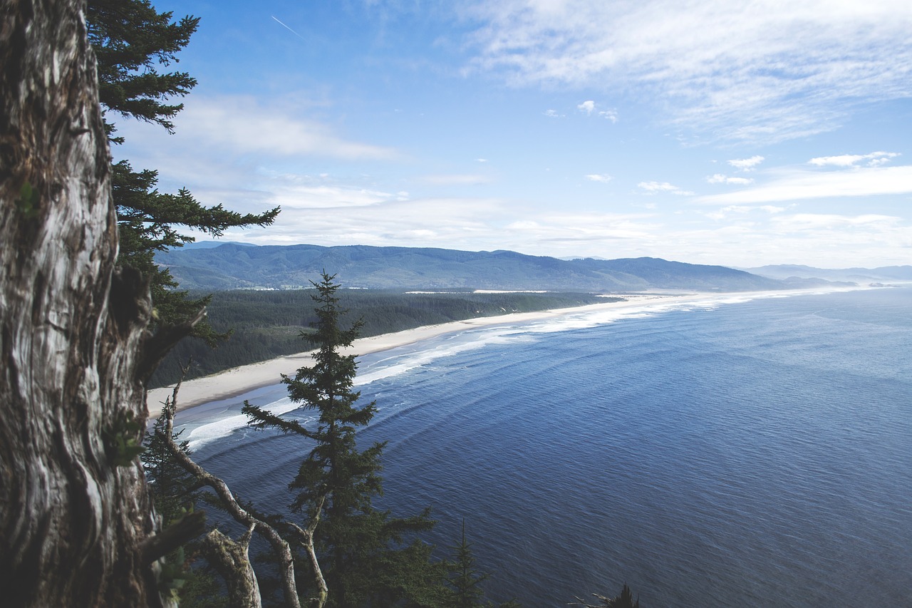 beach sand ocean free photo