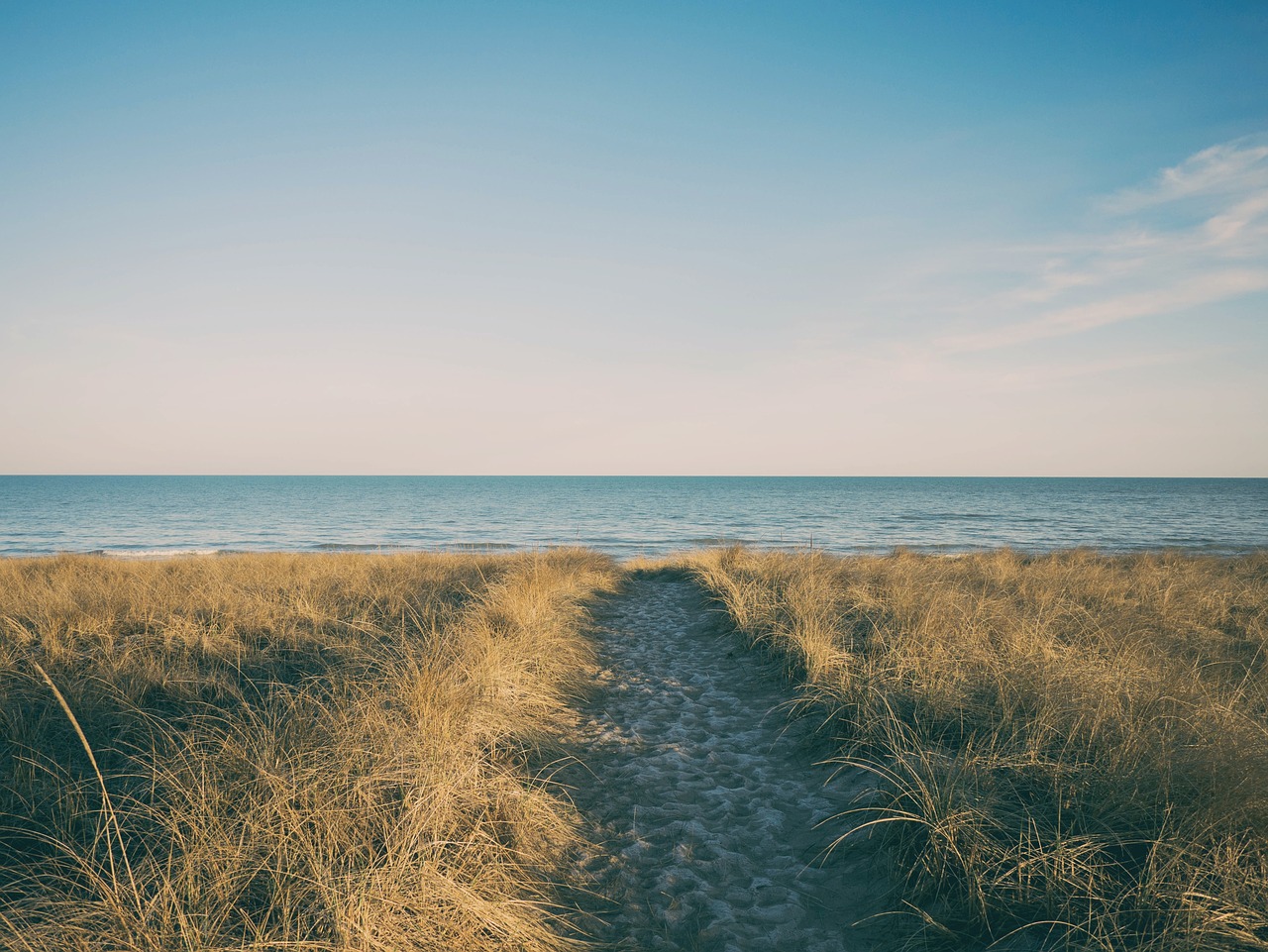 beach sand summer free photo