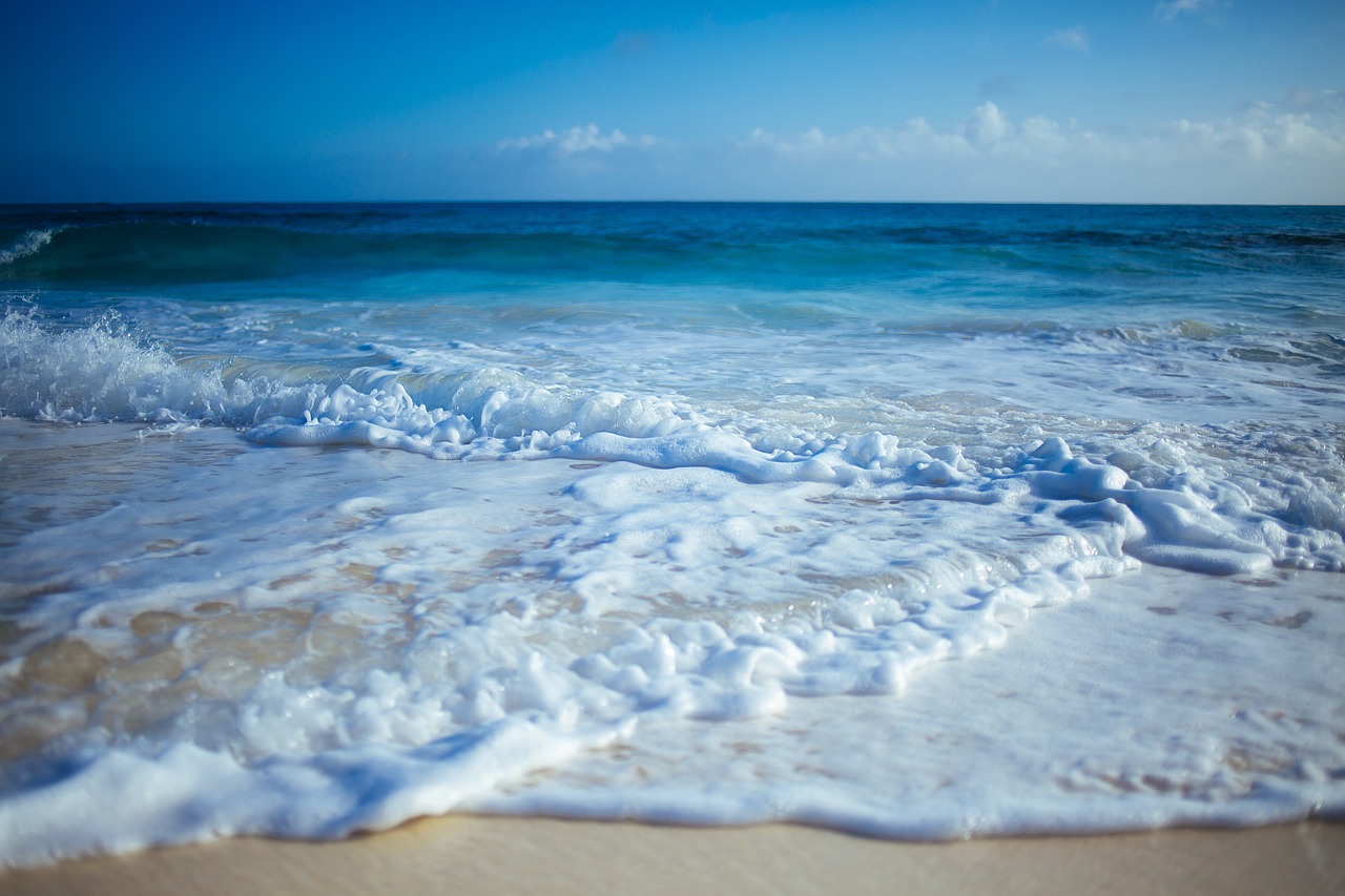 beach sand ocean free photo