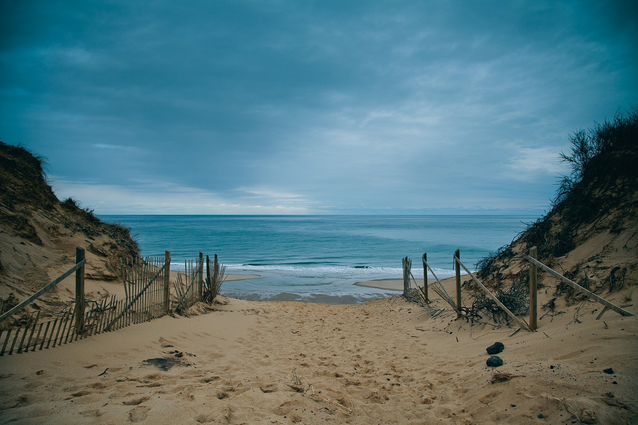 beach sand ocean free photo