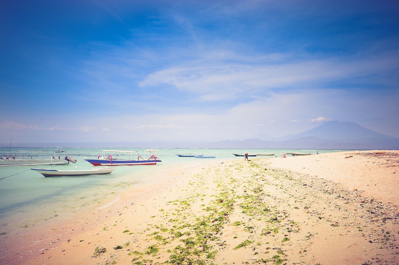 beach sand sunshine free photo